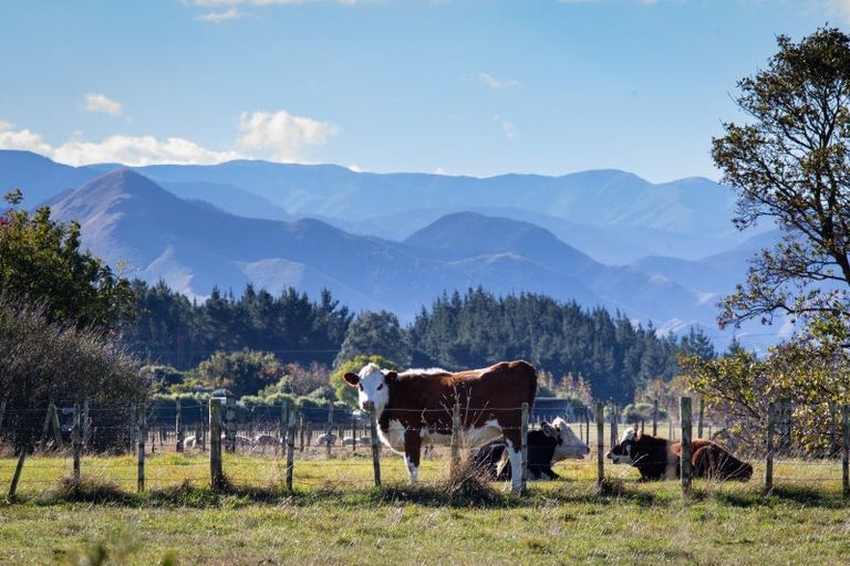 Photo of property in 34 Ruahine Street, Dannevirke, 4930