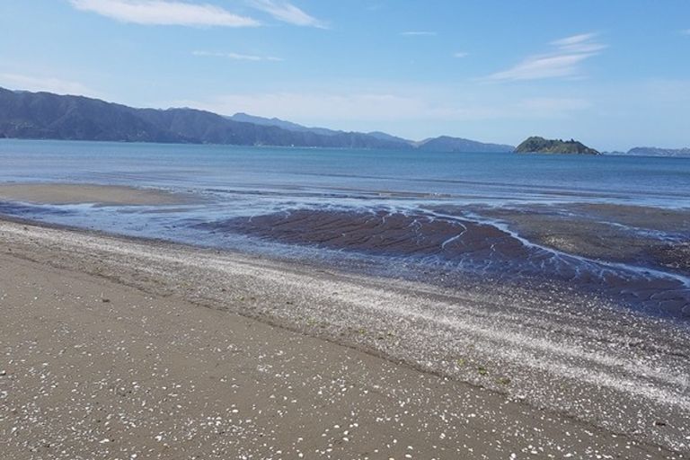 Photo of property in 14 High Street, Petone, Lower Hutt, 5012