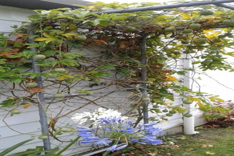 Photo of property in 8 Russell Avenue, Te Aroha, 3320