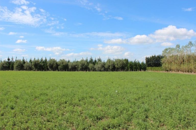 Photo of property in 678a Ashcott Road, Ashley Clinton, Takapau, 4283