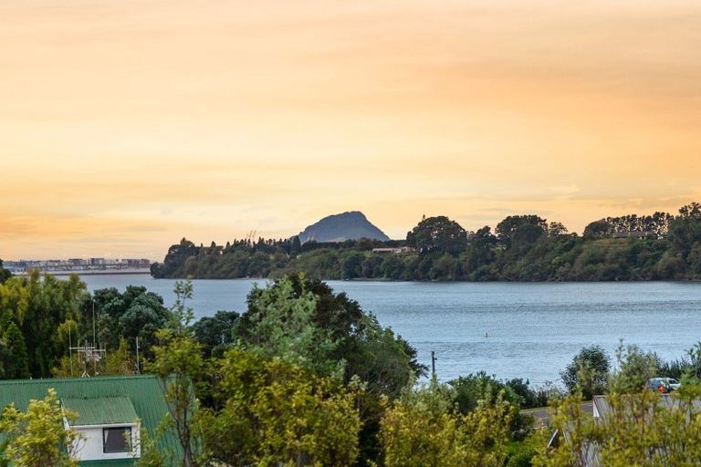 Photo of property in 1 Miriana Street, Maungatapu, Tauranga, 3112