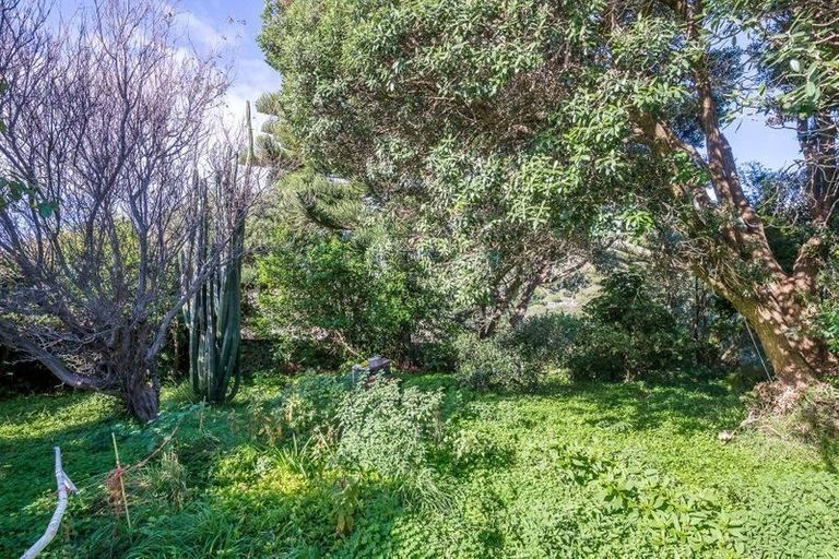Photo of property in 104 Wellington Road, Paekakariki, 5034