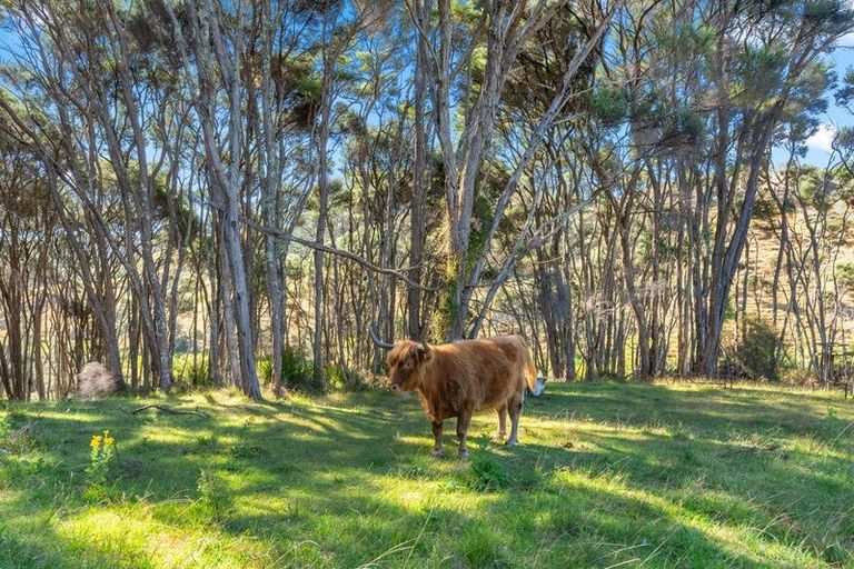 Photo of property in 516 Fordyce Road, South Head, Helensville, 0874