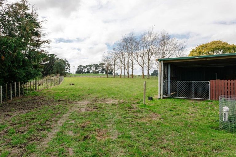 Photo of property in 423 Tipapakuku Road, Dannevirke, 4976