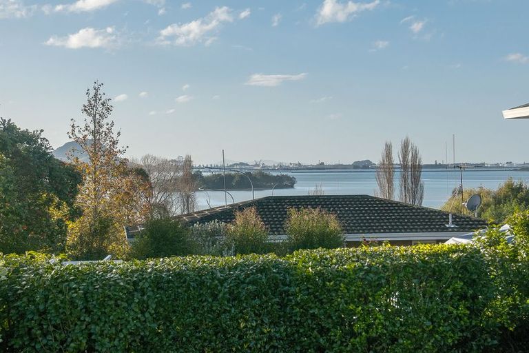 Photo of property in 13 Hairini Street, Hairini, Tauranga, 3112