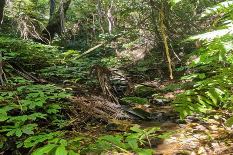 Photo of property in 447b Goble Road, Komata, Paeroa, 3674