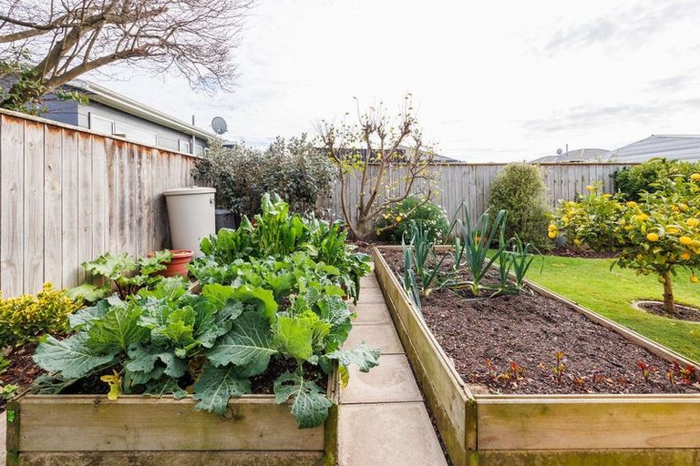 Photo of property in 128a Warwick Street, Feilding, 4702