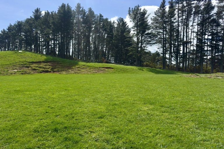 Photo of property in 717 Wright Road, Aongatete, 3181