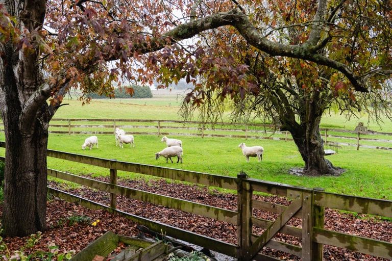 Photo of property in 108 Limeworks Road, Circle Hill, Milton, 9291