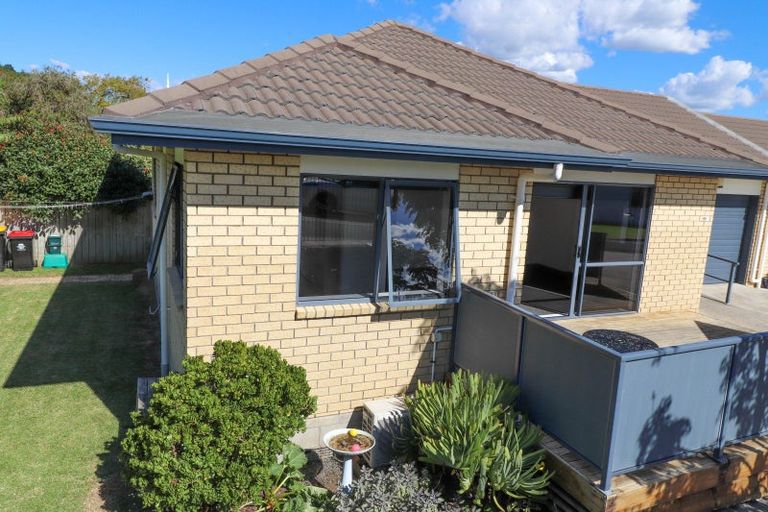 Photo of property in 115 Rennie Street, Thames, 3500