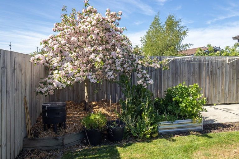 Photo of property in 119a George Street, Tinwald, Ashburton, 7700