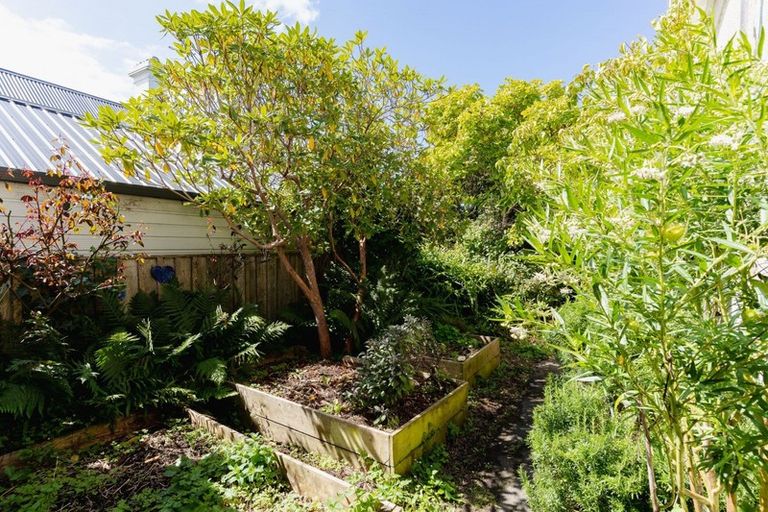 Photo of property in 543 Highgate, Maori Hill, Dunedin, 9010