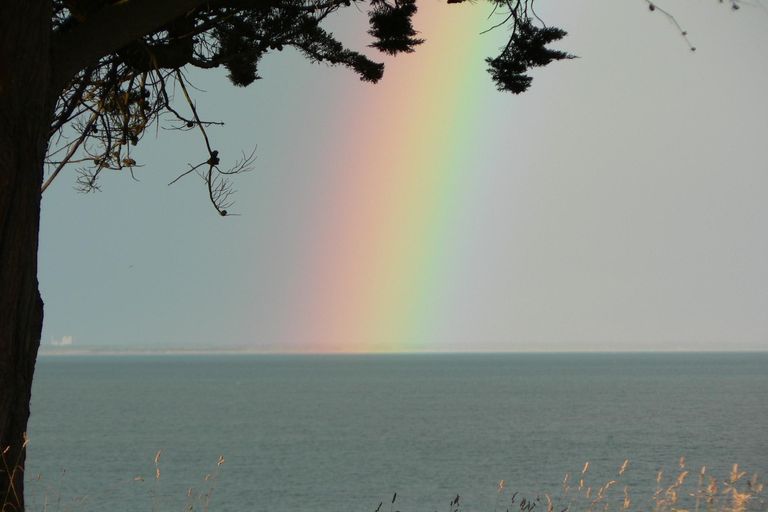 Photo of property in 23-25 South Street, Kensington, Timaru, 7910