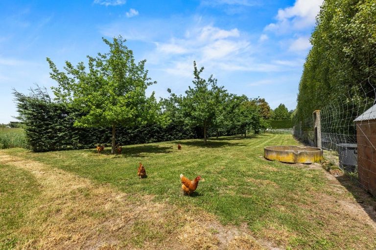 Photo of property in 114 Raddens Road, Ohoka, Kaiapoi, 7692