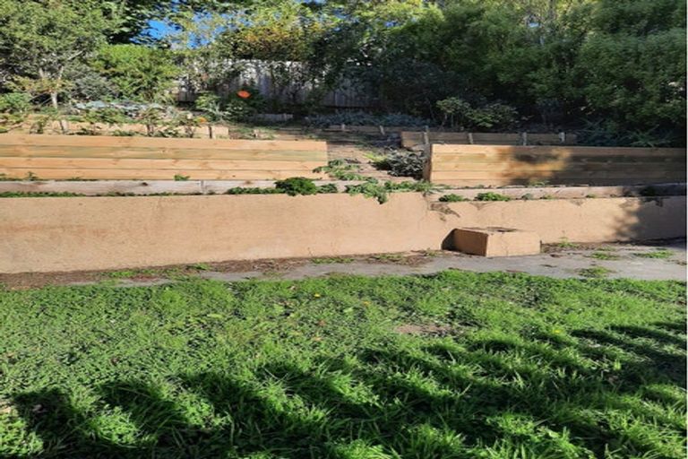 Photo of property in 206 North Road, North East Valley, Dunedin, 9010