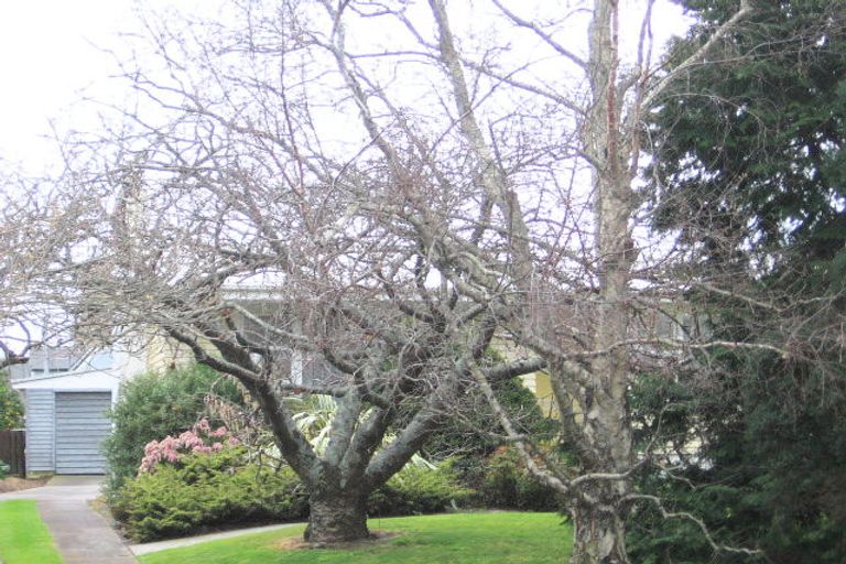 Photo of property in 131 Levers Road, Matua, Tauranga, 3110