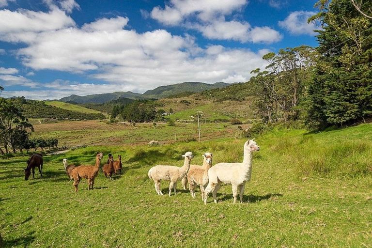 Photo of property in Waione Road, Opononi, Kaikohe, 0473