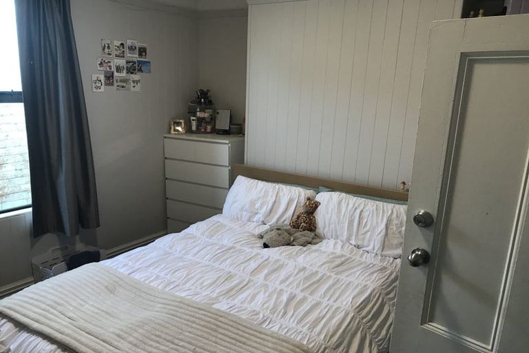Photo of property in 19 Duchess Avenue, Dunedin Central, Dunedin, 9016