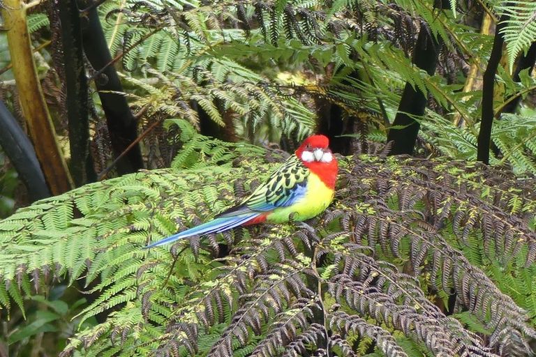 Photo of property in 190 Waiwhiu Road, Dome Valley, Warkworth, 0981