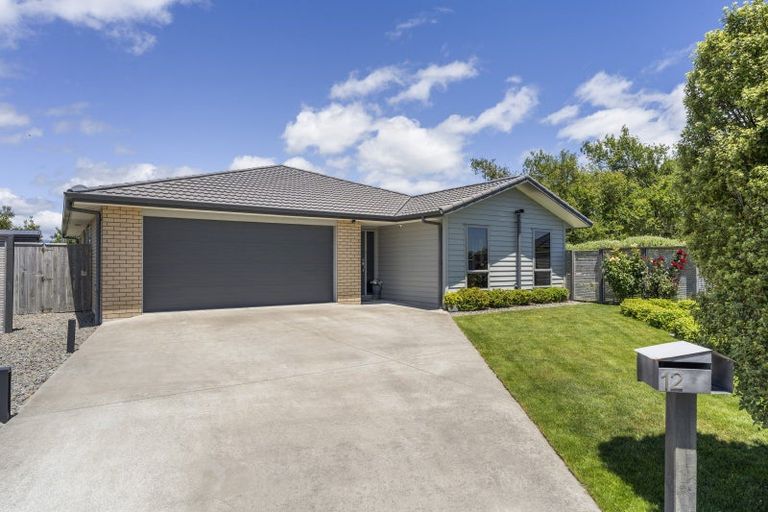 Photo of property in 12 Dow Chung Place, Otaki, 5512