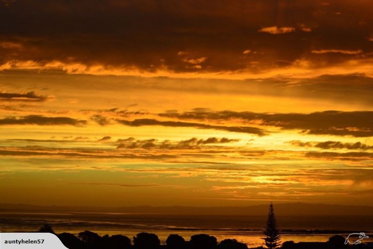 Photo of property in 103 Campbell Street, Thames, 3500