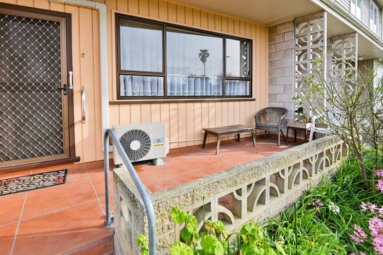 Photo of property in 1/310 Lyndon Road West, Hastings, 4122