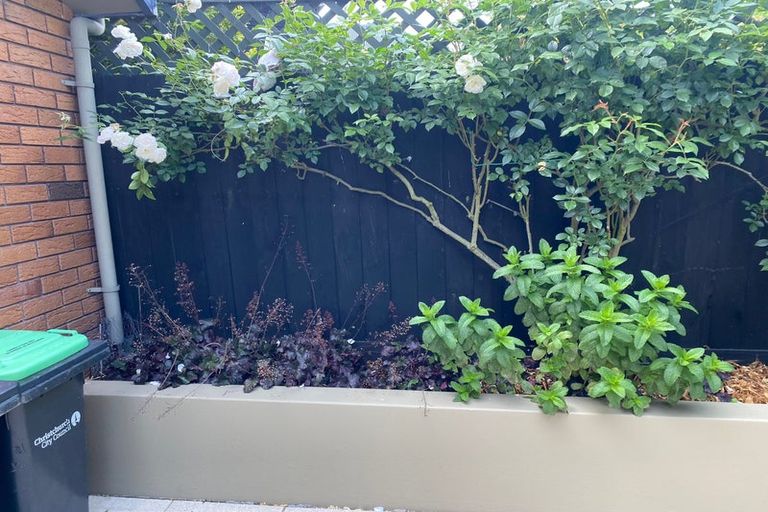 Photo of property in 31c Darvel Street, Riccarton, Christchurch, 8011