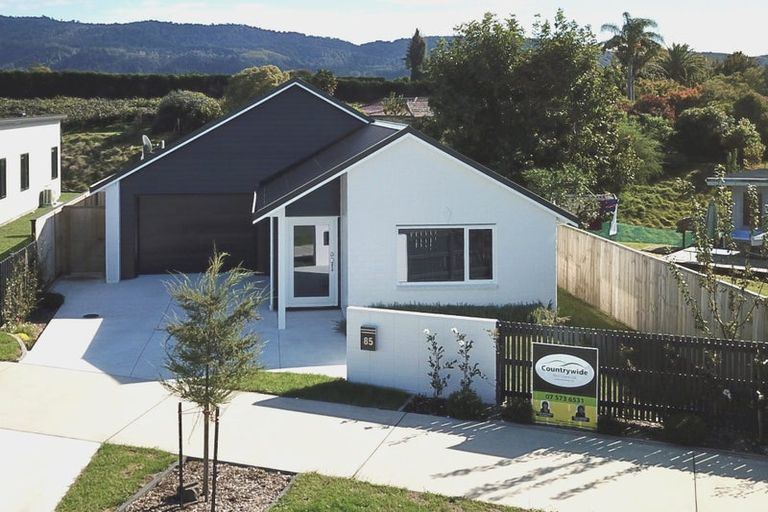 Photo of property in 85 Dunlop Road, Te Puke, 3119