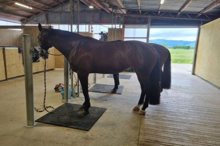 Photo of property in 475 Ellesmere Road, Lincoln, Christchurch, 7672