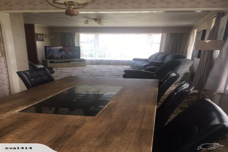 Photo of property in 53 Featherston Street, Levin, 5510