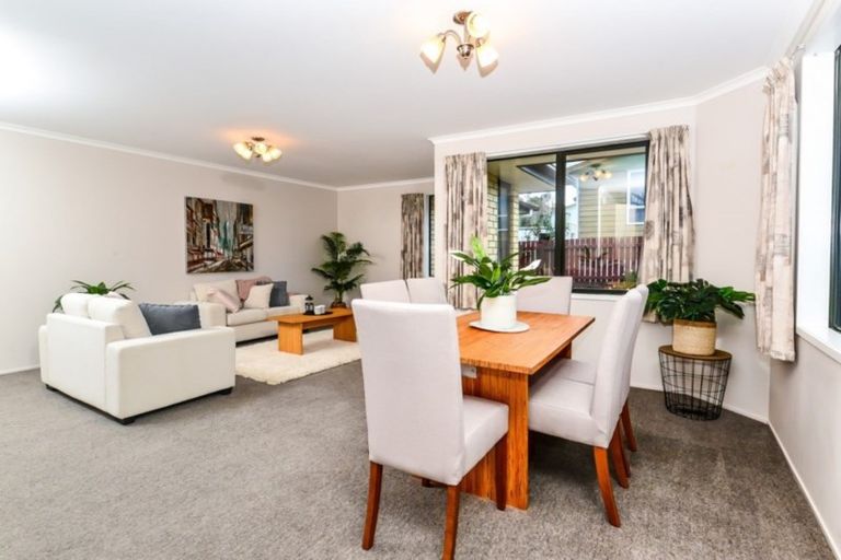 Photo of property in 19 Goodall Street, Dinsdale, Hamilton, 3204