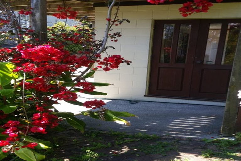 Photo of property in 1/295 East Coast Road, Mairangi Bay, Auckland, 0630