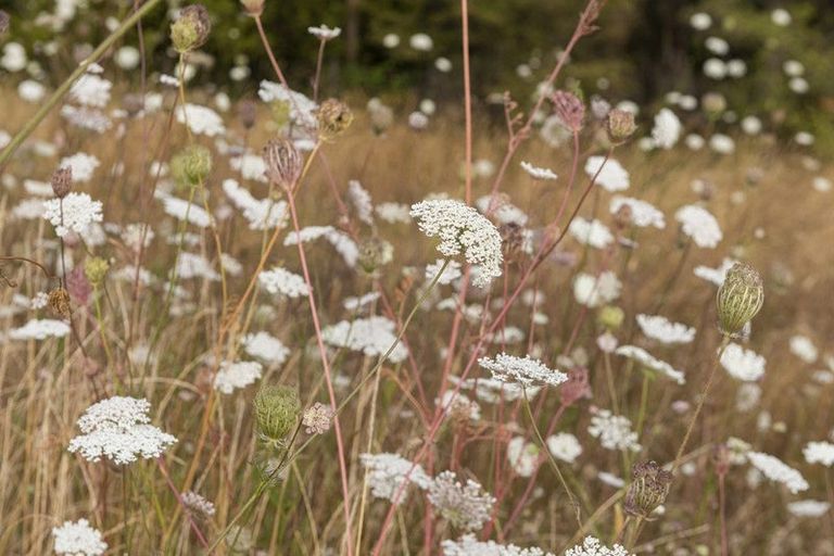 Photo of property in 27 Lett Road, Snells Beach, 0920