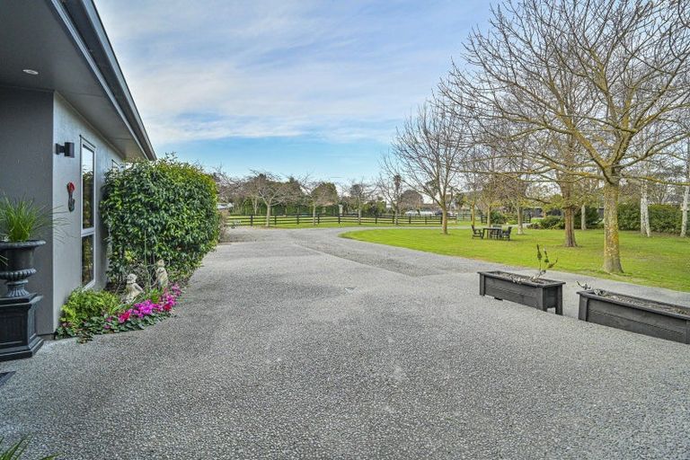 Photo of property in 22 Sheehan Street, Bay View, Napier, 4104