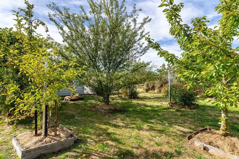 Photo of property in 38 Thomas Street, Waikouaiti, 9510