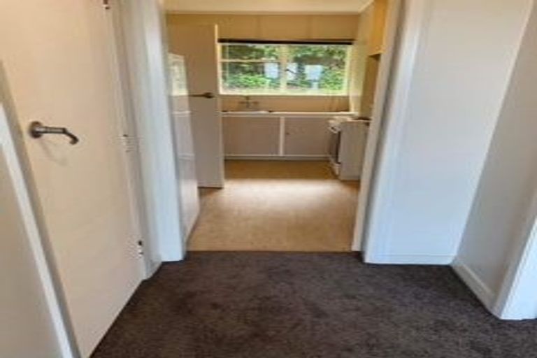 Photo of property in 5 Maori Road, Dunedin Central, Dunedin, 9016