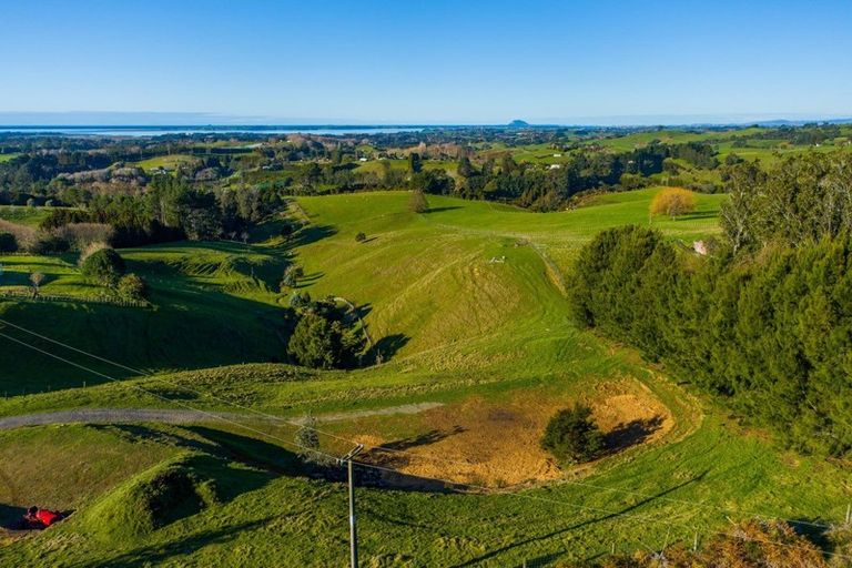 Photo of property in 163 Upland Road, Aongatete, Katikati, 3181