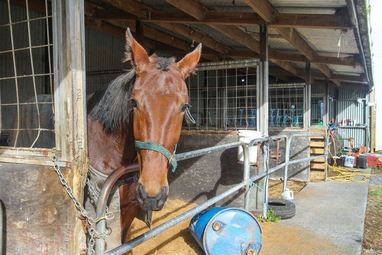 Photo of property in 27a Royal Doulton Drive, Pukekohe, 2677