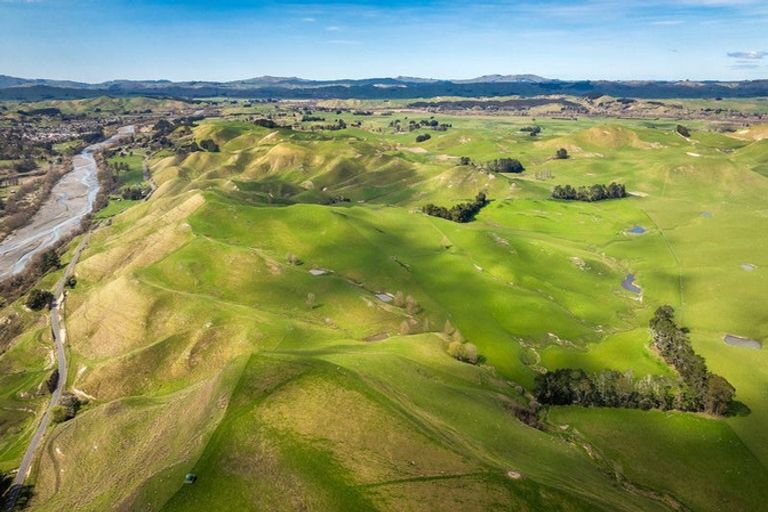 Photo of property in 210 Ongaonga Road, Waipawa, 4272