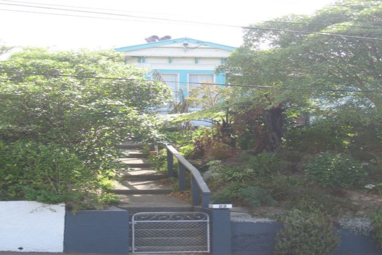 Photo of property in 20 Mckinley Crescent, Brooklyn, Wellington, 6021