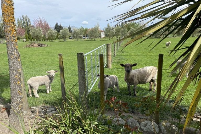 Photo of property in 85 North Street, Greytown, 5712