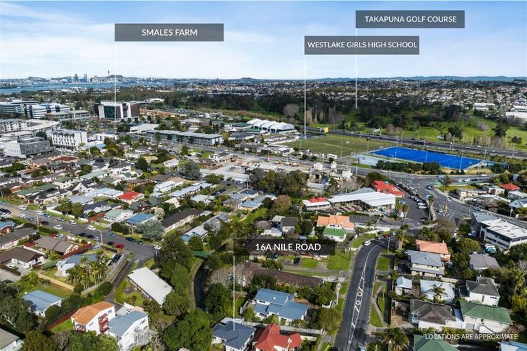 Photo of property in 1/16 Nile Road, Milford, Auckland, 0620