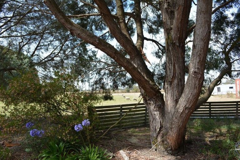 Photo of property in 249 Oxford Road, Fernside, Rangiora, 7471