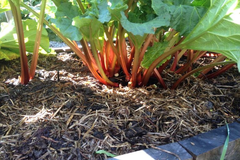 Photo of property in 8 Ocean View Terrace, Sumner, Christchurch, 8081