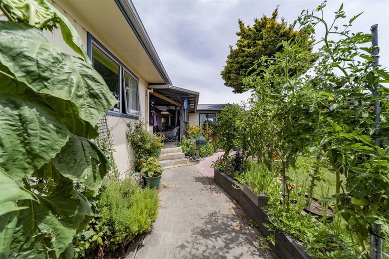 Photo of property in 41 Plunket Street, Tamatea, Napier, 4112