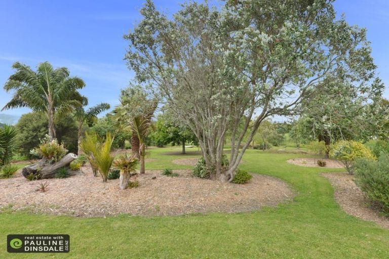 Photo of property in 138 Pigs Head Road, Whakapara, Hikurangi, 0184