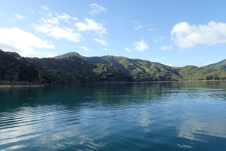 Photo of property in Elie Bay Road, Crail Bay, Marlborough Sounds, 7282