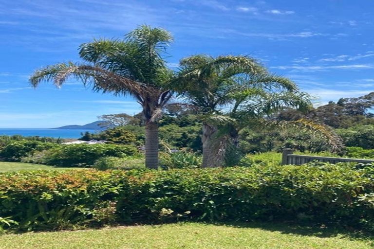 Photo of property in 16 Berg Place, Whakatane, 3120