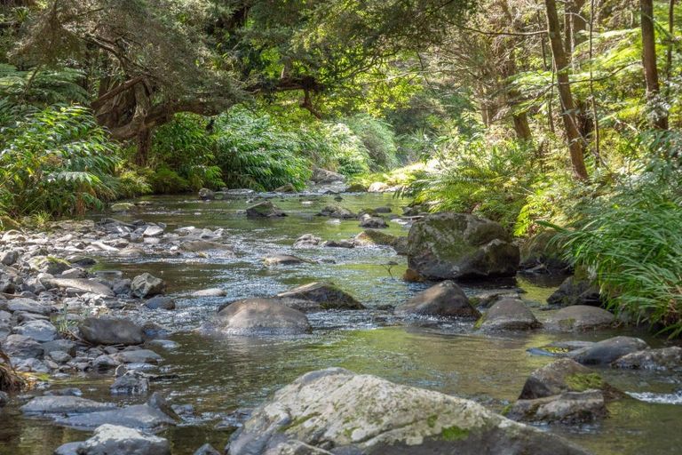 Photo of property in 697 Kohumaru Road, Mangonui, 0494