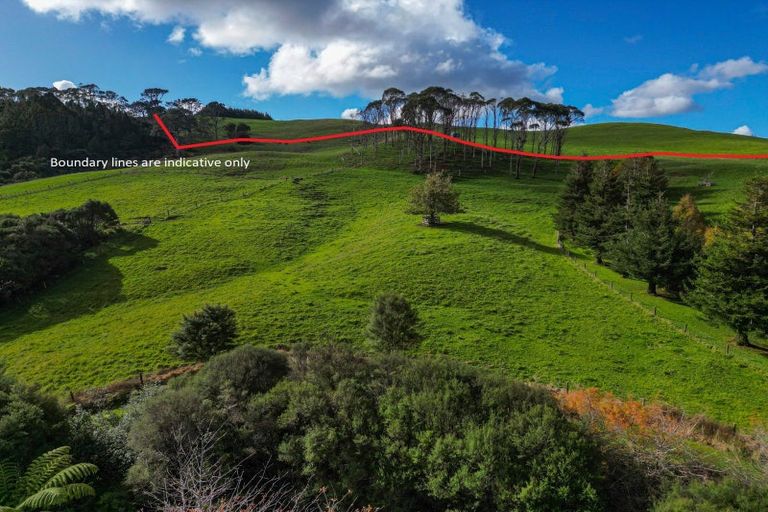 Photo of property in 487 Kanohi Road, Kaukapakapa, 0873